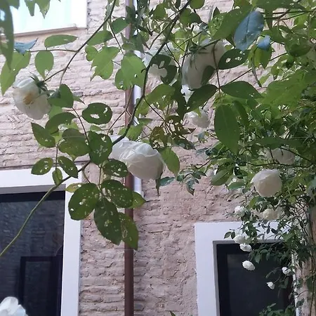 فندق مبيت وإفطار Appartamenti Ravenna رافيننا